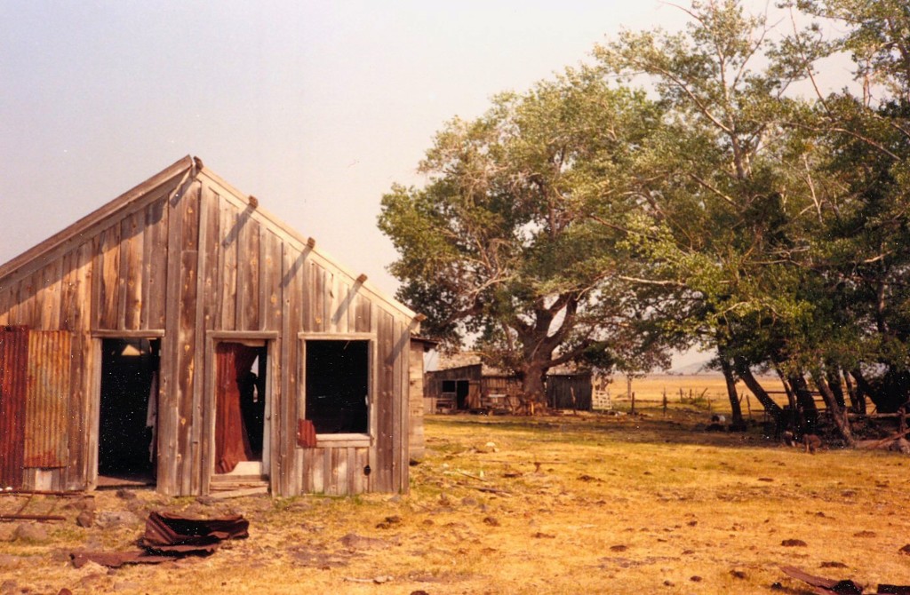 Shinn Ranch, 1987