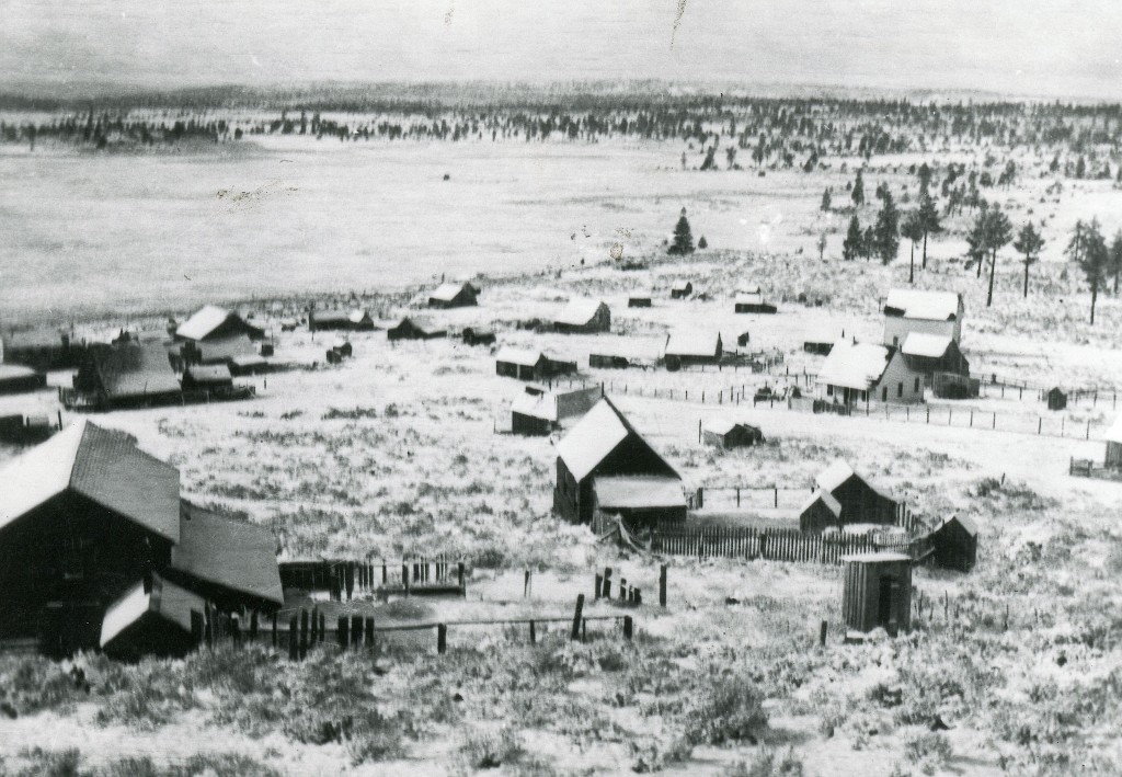 Hayden Hill, 1909. Courtesy of Dallas & Joyce Snider
