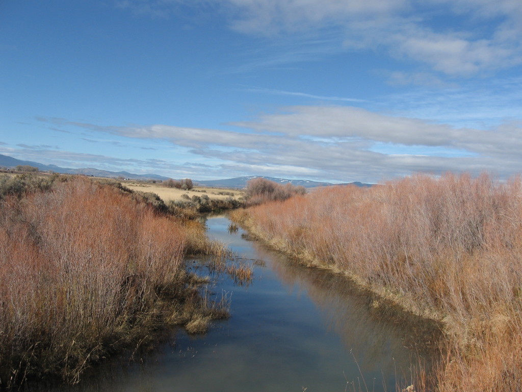 Susan River, near the Soldier Bridge military site. November 19, 2015
