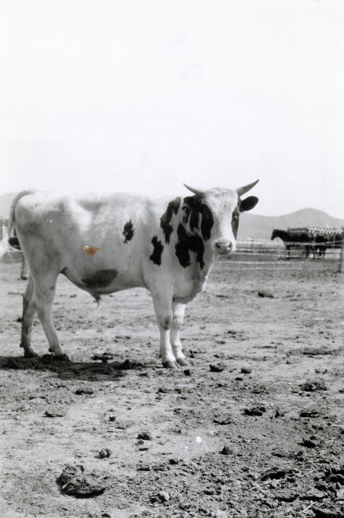 Tanner Ranch, 1934.