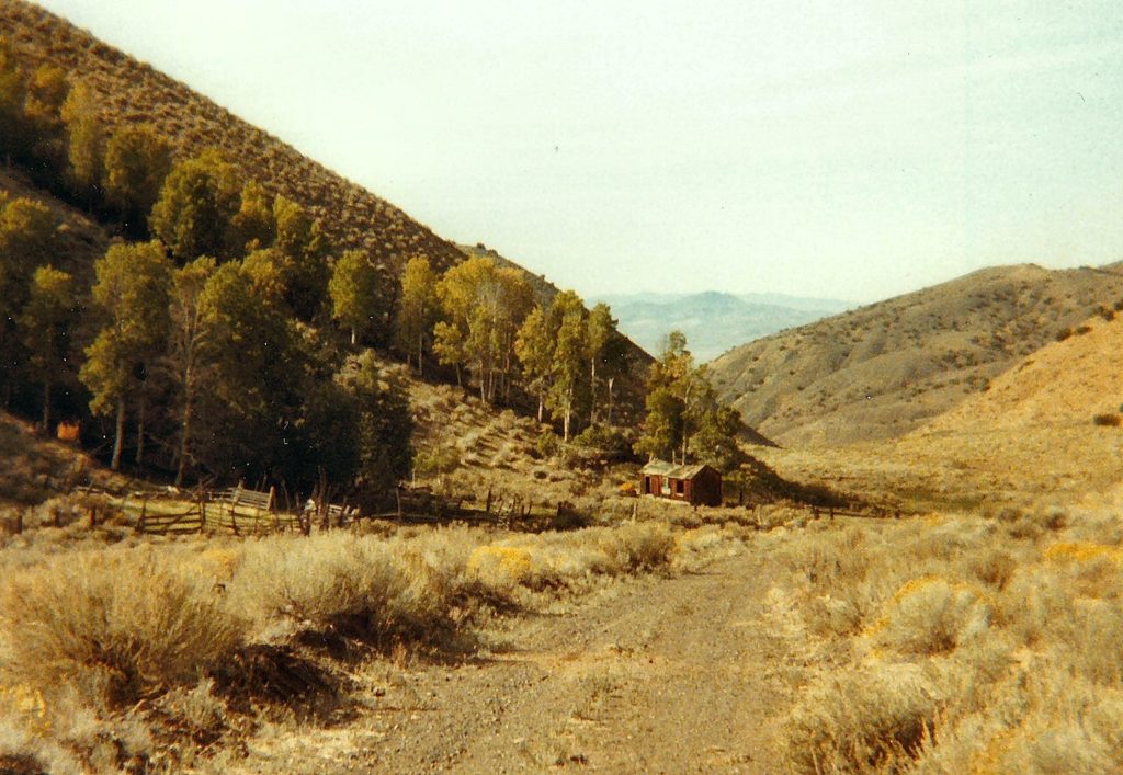 Wild Horse Canyon, September 27, 1984
