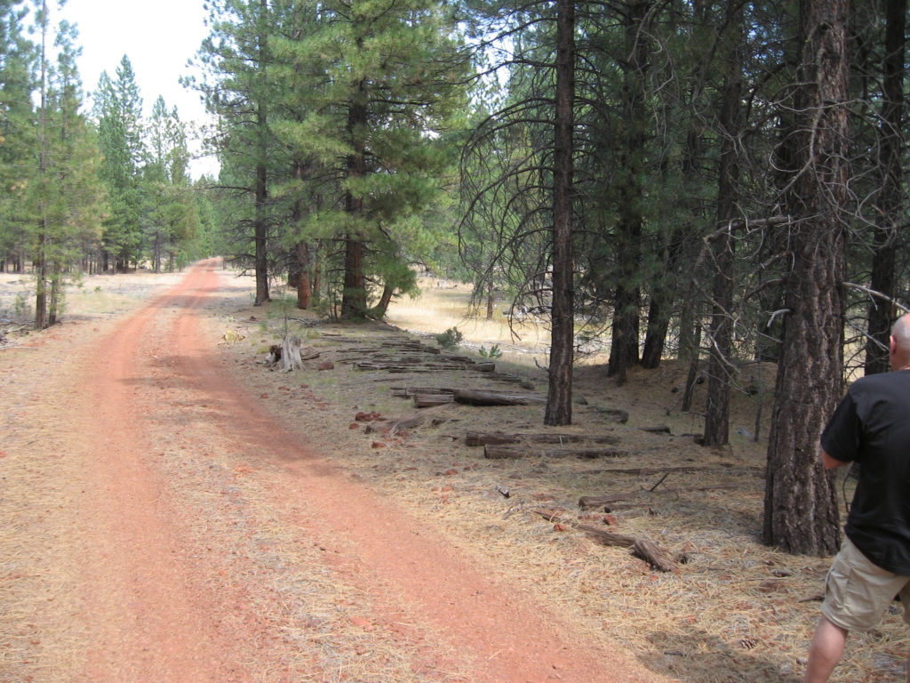 It was one of those days, that I had a lapse of better judgment should have, but did not take a picture of Shay's Hole. However, about a mile down the road, we stopped to take pictures of these old railroad ties still in place.